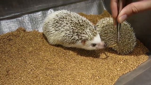 2018 | StreetFrench.org смотреть онлайн