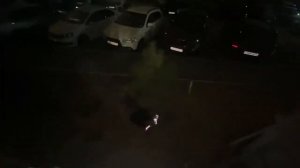 ДАНОН ВЫПРЫГНУЛ ИЗ ОКНА! СЛОМАЛ НОГУ???