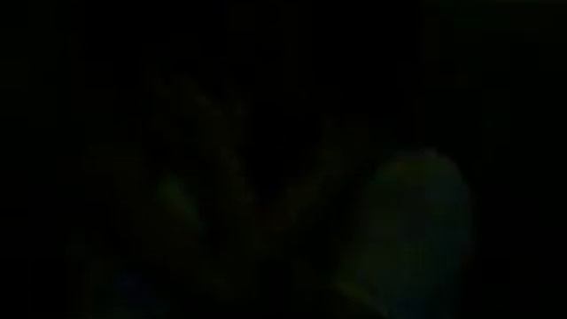 video clip erotico POP смотреть онлайн