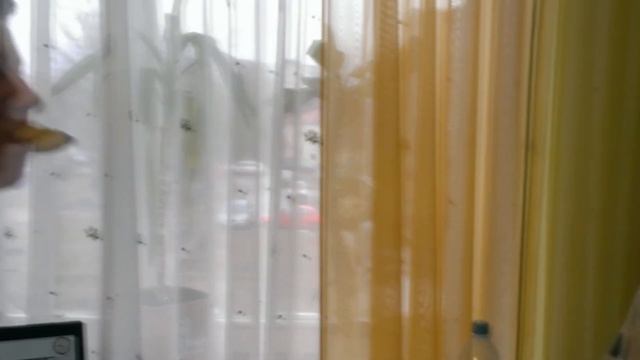 "Невыполнимое.." - Я - банан.. Я - банан.. смотреть онлайн