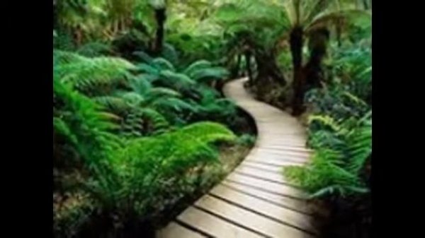 Природа Слайд-Шоу