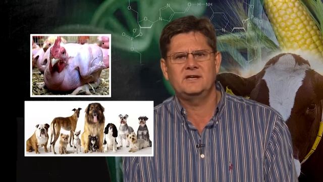 English Across the Curriculum: Agricultural Sciences - Grade 12 (11 of 16) смотреть онлайн