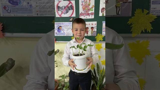 Практическая работа по естествознанию смотреть онлайн