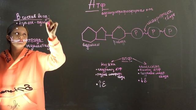 АТФ смотреть онлайн