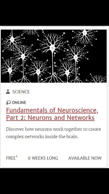 Harvard University Online Courses With Free Certificates смотреть онлайн