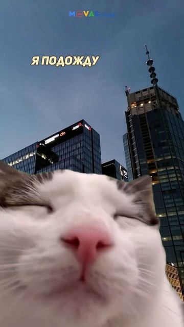 #shorts #językpolski #картаполяка #польскийалфавит #польскийязыкснуля