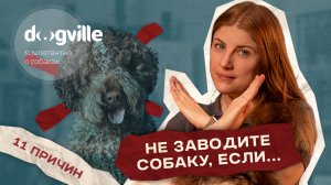 «Вам не стоит заводить собаку, если...» — 11 Причин