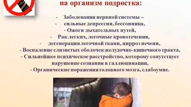 «Ты сам в ответе за себя»: презентация – профилактика смотреть онлайн