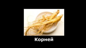 Лунтик на арабском