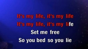 KaraoKe • It's My Life • Dr. Alban