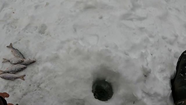Рыбалка для души. смотреть онлайн