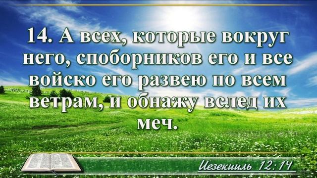 ВидеоБиблия Книга пророка Иезекииля без музыки глава 12 Соколов смотреть онлайн