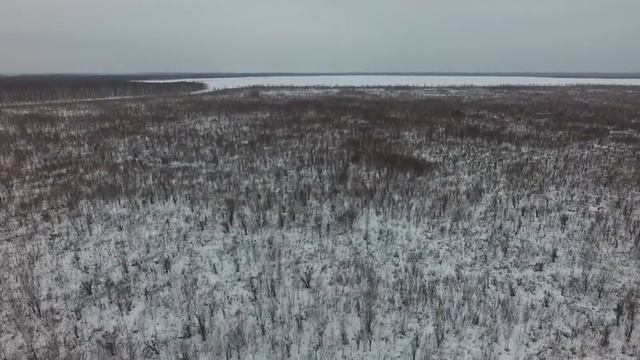 Outravision-живая природа смотреть онлайн