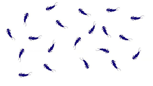 Virtual Poster - Connectivity and dispersal potential of Dinocras cephalotes populations (2012) смотреть онлайн