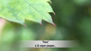 РАМО 24 серия РУССКАЯ ОЗВУЧКА турецкий сериал