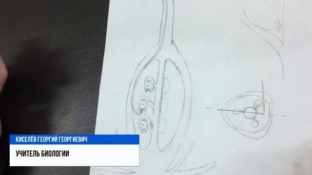 Использование технологий дополненной реальности в образовательном процессе в Школе №1621 смотреть онлайн