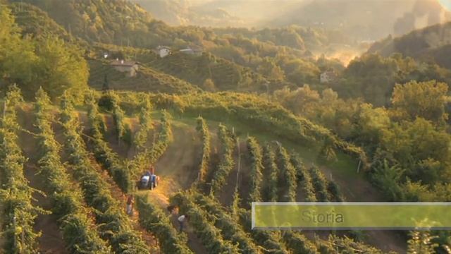 Conegliano Valdobbiadene Academy | Lezione I смотреть онлайн