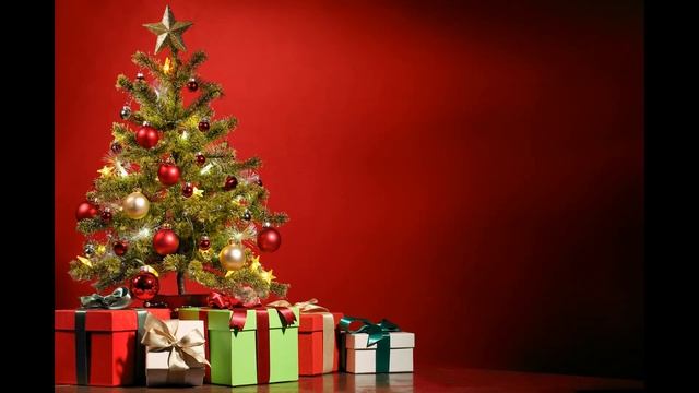 best trees wallpaper for mobile and whatsapp dpzz-free to use wallpaper - no copyright wallpaper смотреть онлайн