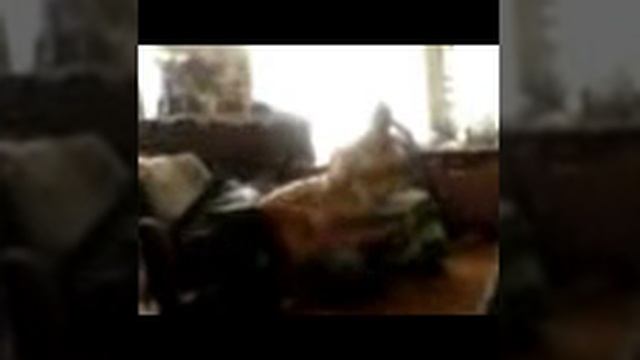 две гитары в алых парусах смотреть онлайн