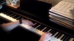 Королек   птичка певчая фортепиано "Çalıkuşu"