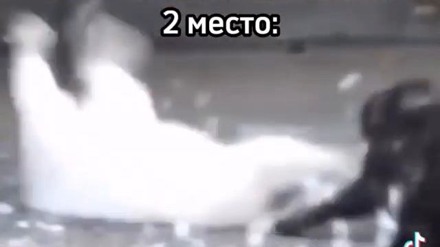 приветик смотреть онлайн