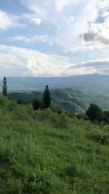 Алихан Амхадов - село большие Варанды. смотреть онлайн