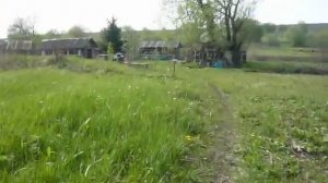 где купить  пчелопакет.