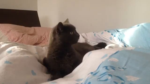 воздушная тревога смотреть онлайн