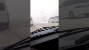 Ёжик в тумане.мкр Тунгуч, сегодня утром!