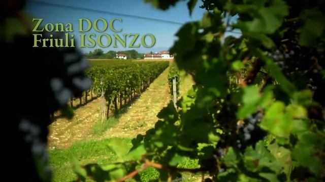 Consorzio Tutela Vini DOC Friuli ISONZO смотреть онлайн