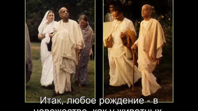 Prabhupada 0243 Ученик приходит к учителю ради просвещения смотреть онлайн