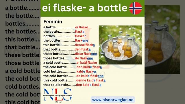Bottle