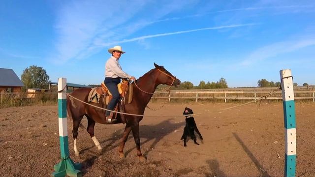 Катя и её вторая лошадь Хельветика - Ride West смотреть онлайн