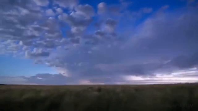 Алихан Амхадов- Млечный Путь! смотреть онлайн