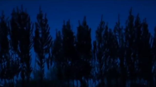 Ajinatol (qisqa metrajli film) | Ажинатол смотреть онлайн