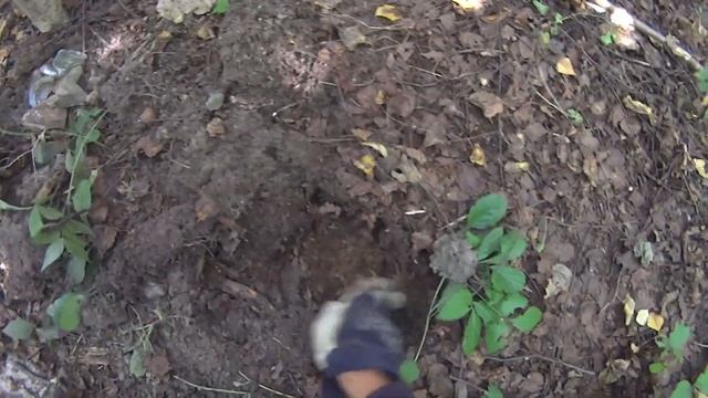 Нашёл лесную свалку и накопал меди! Раскопки с металлоискателем Minelab Equinox 800