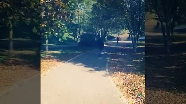 Шаранговіч