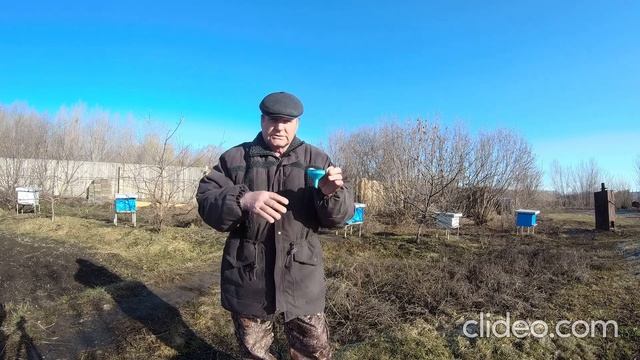 Траектория полёта пчелы. смотреть онлайн