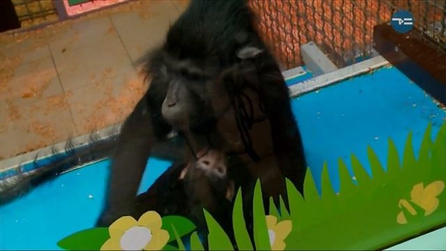 ПОРА ЛЮБВИ смотреть онлайн