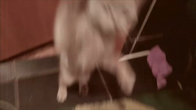 ВЛОГ: пробный по английскому! сложно!