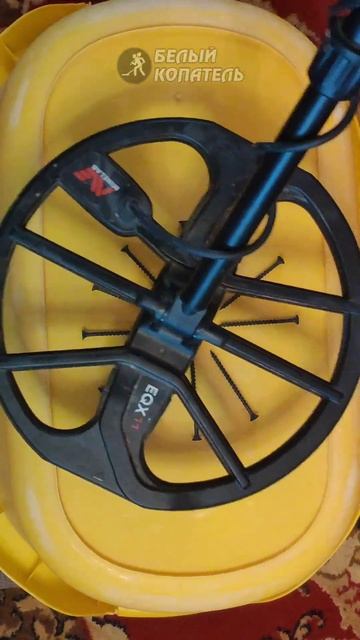 Minelab Equinox 800 монета среди саморезов смотреть онлайн