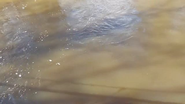 Сарьянка смотреть онлайн