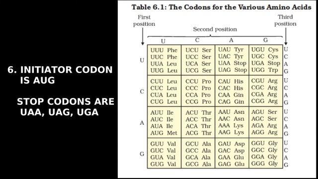 CLASS XII: MOLECULAR BASIS OF INHERITANCE - 8 смотреть онлайн