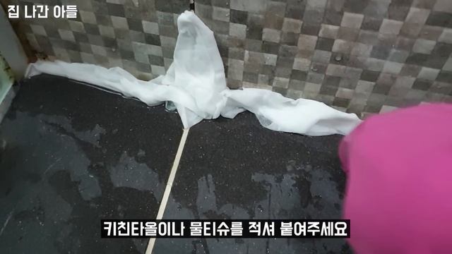 락스를 변기에 넣어보세요! 제조사가 직접 추천하는 생활에 활용하는 신박한 꿀팁 смотреть онлайн