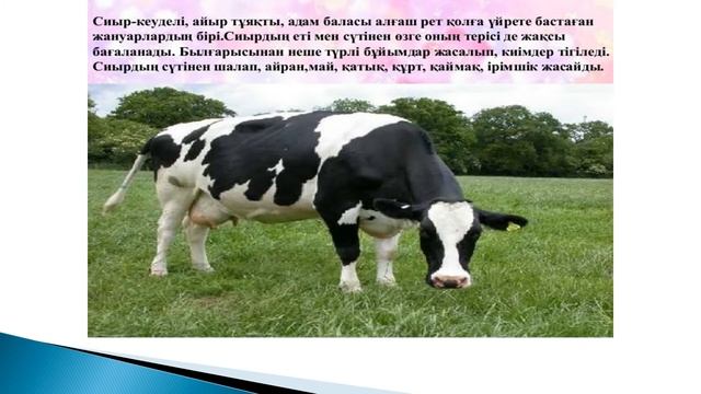 СКО, Тайыншинский район КГУ "Петровская средняя школа" мини-центр. смотреть онлайн
