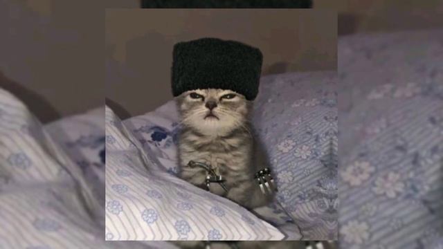 Халиф Атуев - ва Марьяна/speed up/ смотреть онлайн