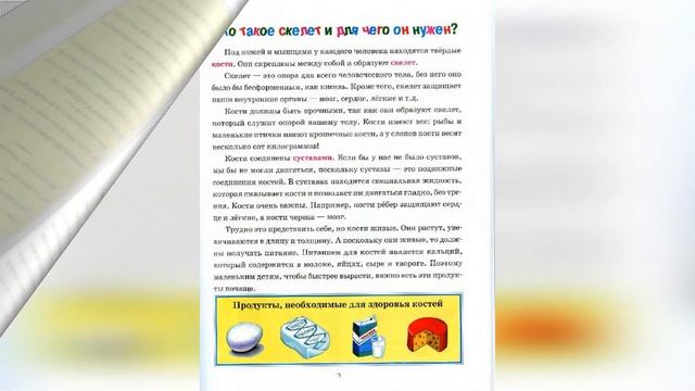 Медиа обзор "Сто профессий - одна твоя" смотреть онлайн