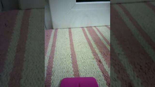 Цветочек из салфеток смотреть онлайн