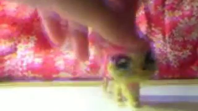 Клип Эльмиры смотреть онлайн