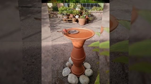 Идеи для дачи №23 #сад #дача смотреть онлайн